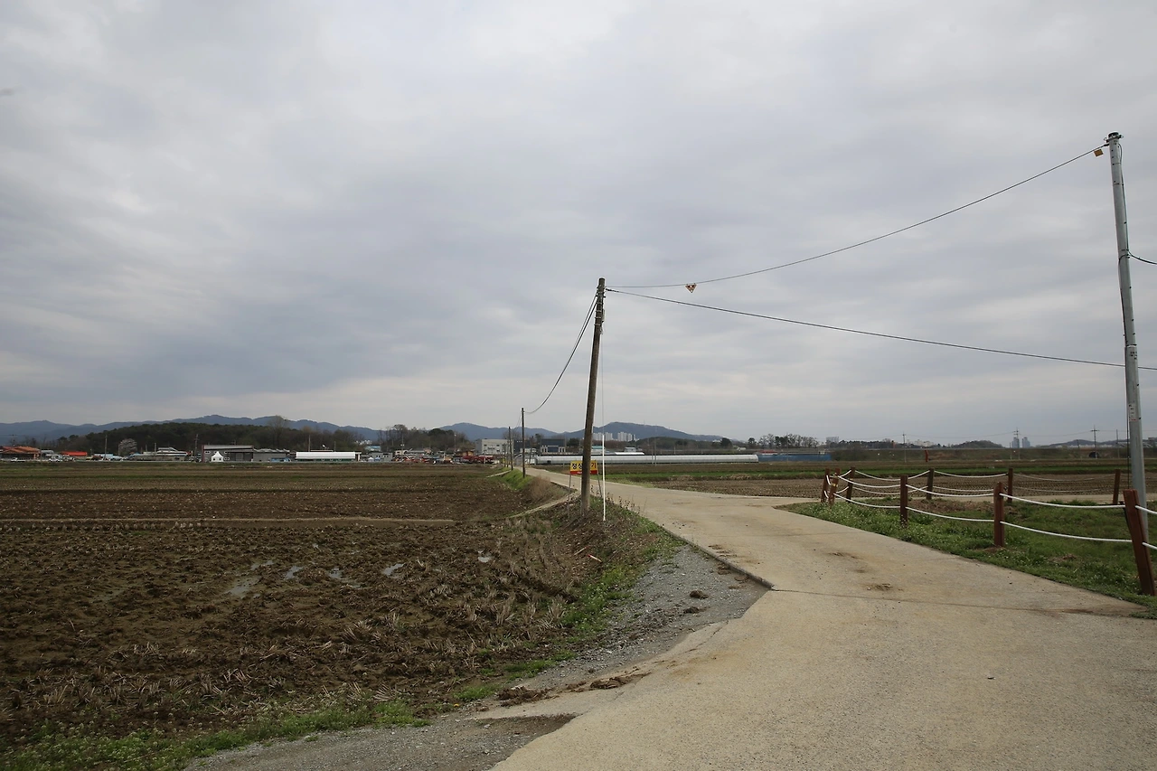 MG0A8232_новый размер.JPG