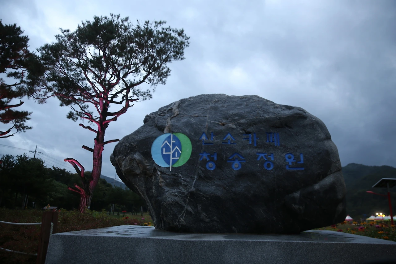 MG0A5774_новый размер.JPG