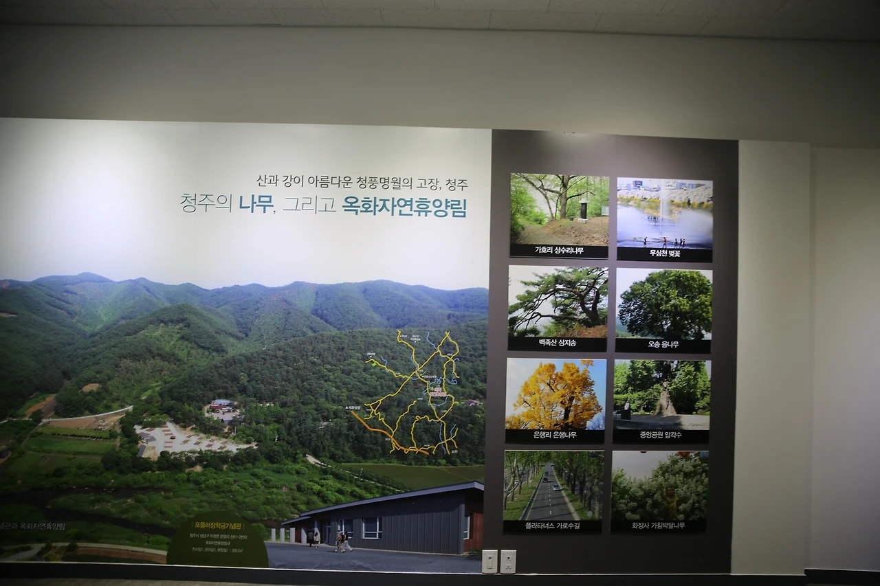 MG0A2203_новый размер.JPG