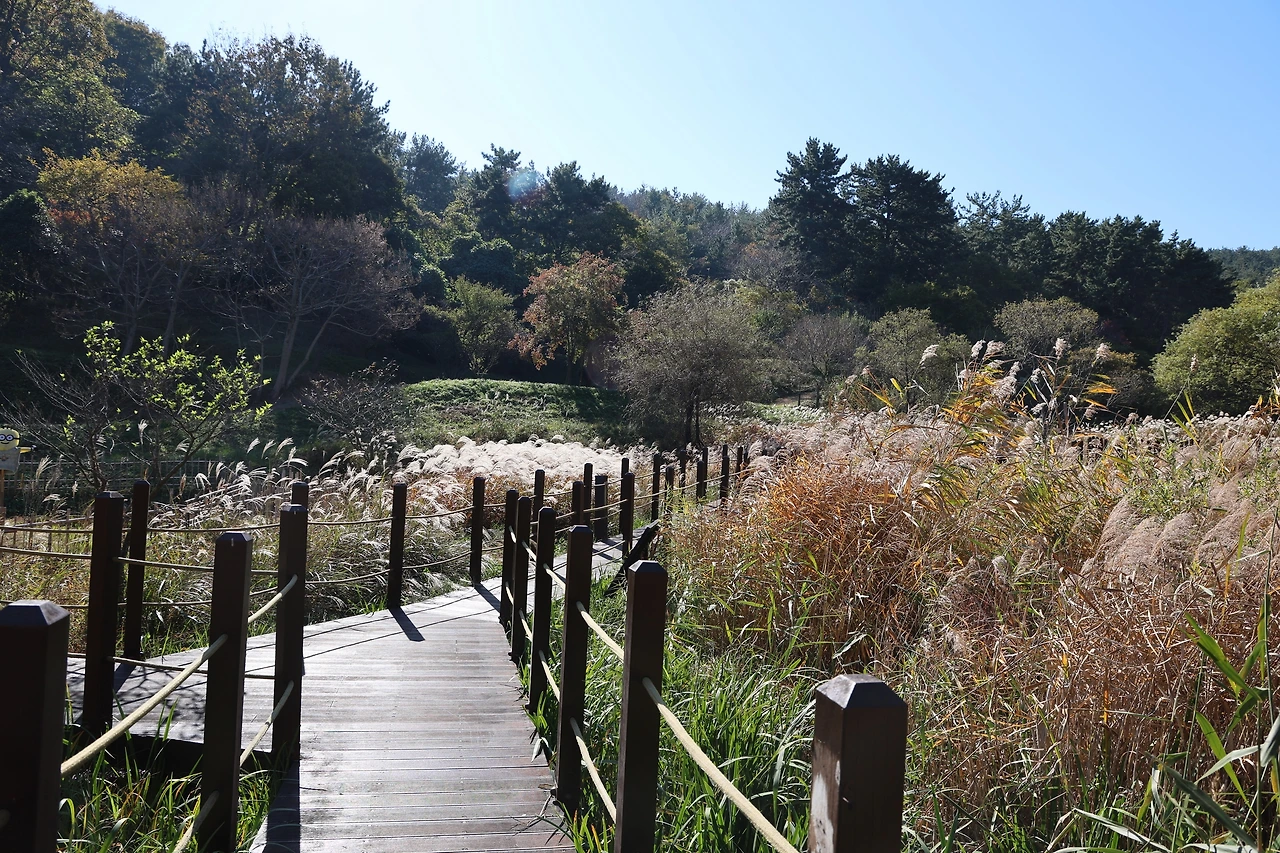 0R5A2731_новый размер.JPG