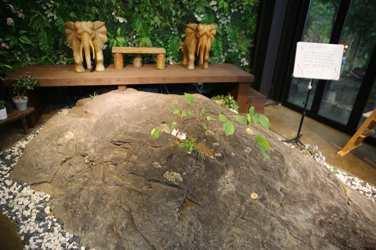 MG0A3287_новый размер.JPG