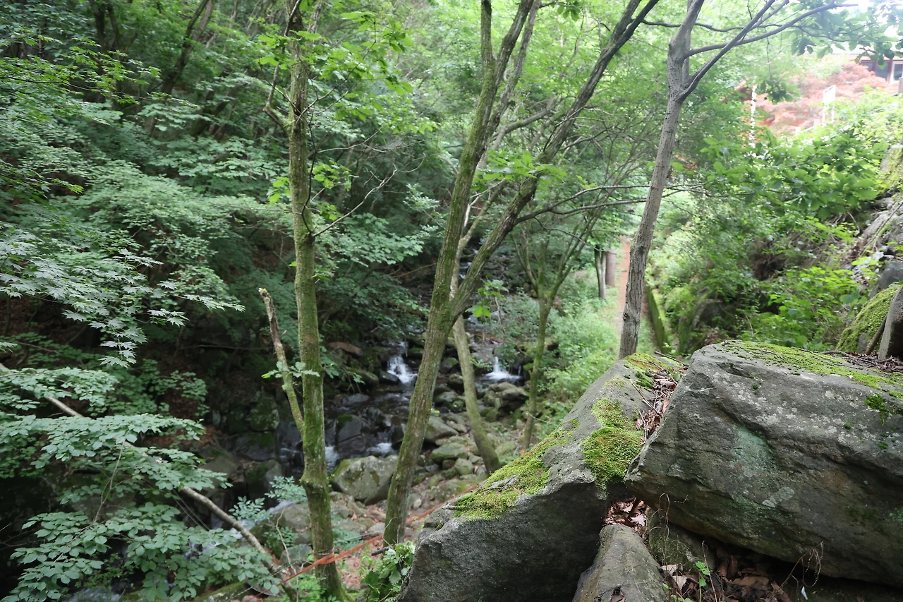 0R5A7527_новый размер.JPG