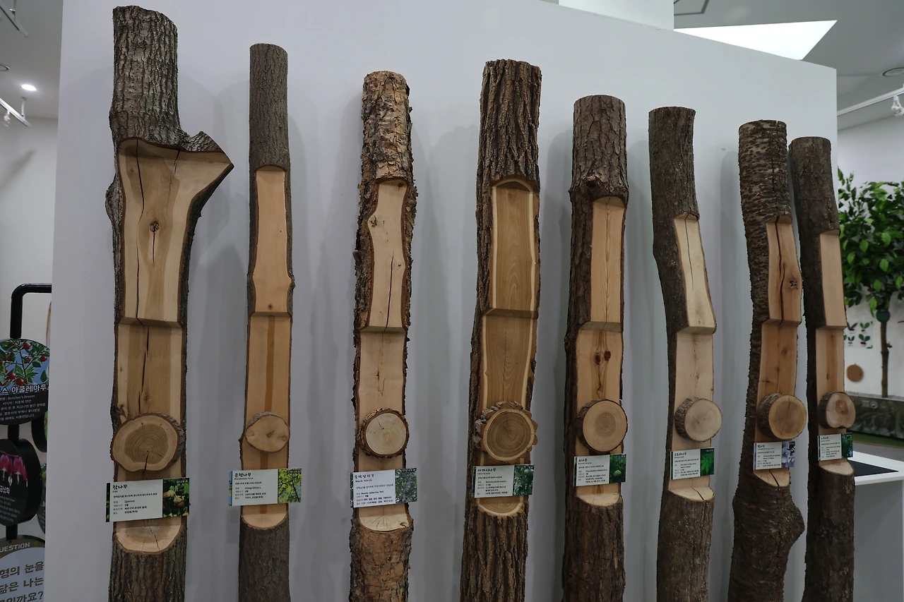 0R5A4559_новый размер.JPG