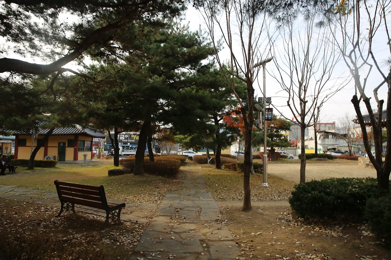 MG0A1769_новый размер.JPG