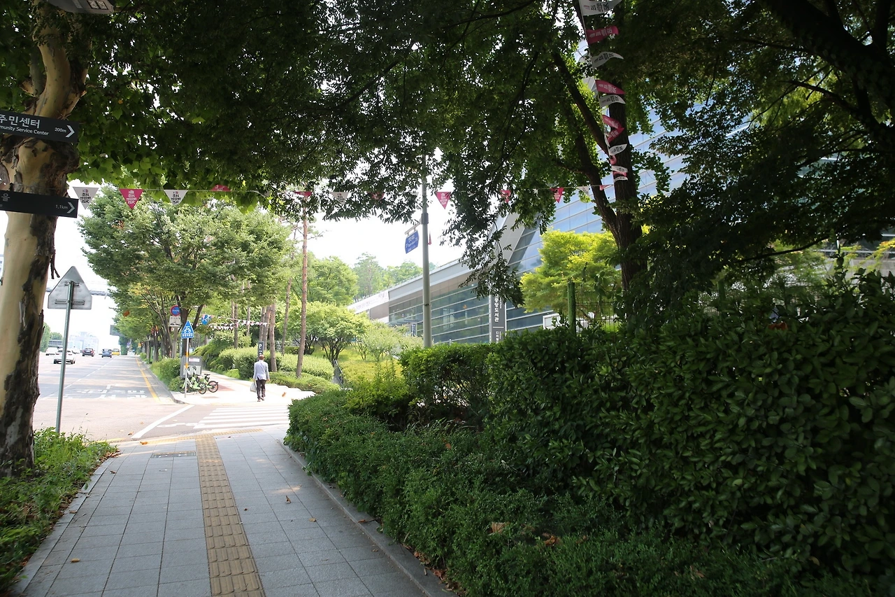 MG0A1657_новый размер.JPG