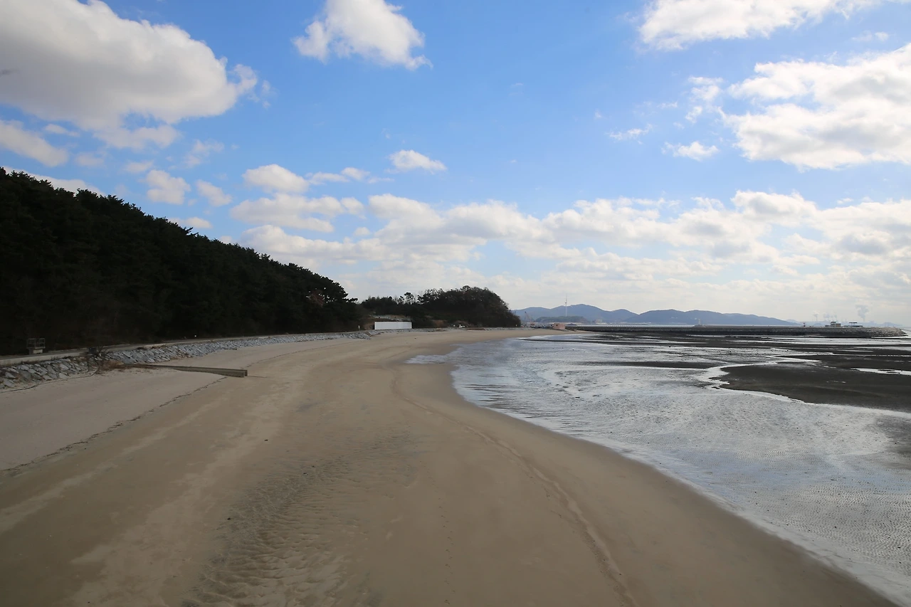 MG0A3138_новый размер.JPG