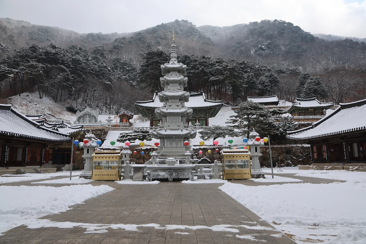 0R5A3167_новый размер.JPG