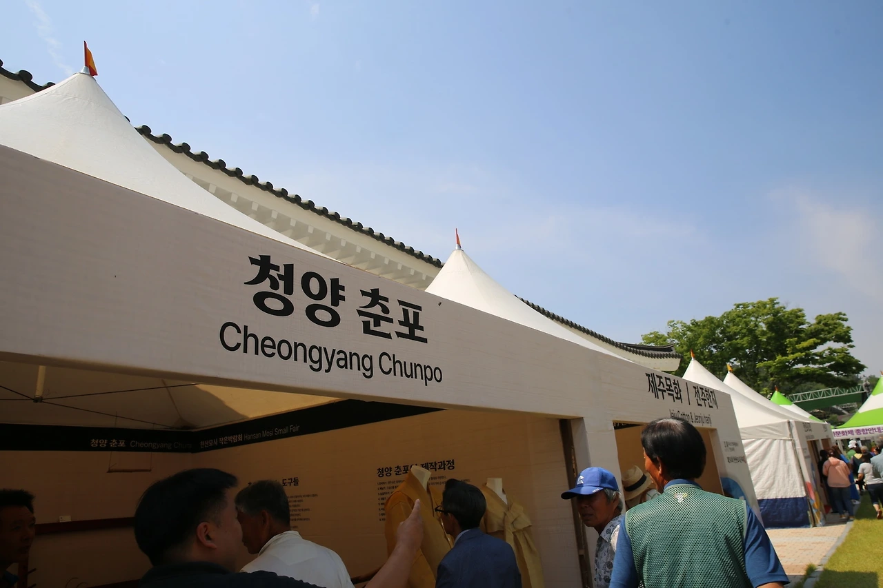 MG0A6682_новый размер.JPG