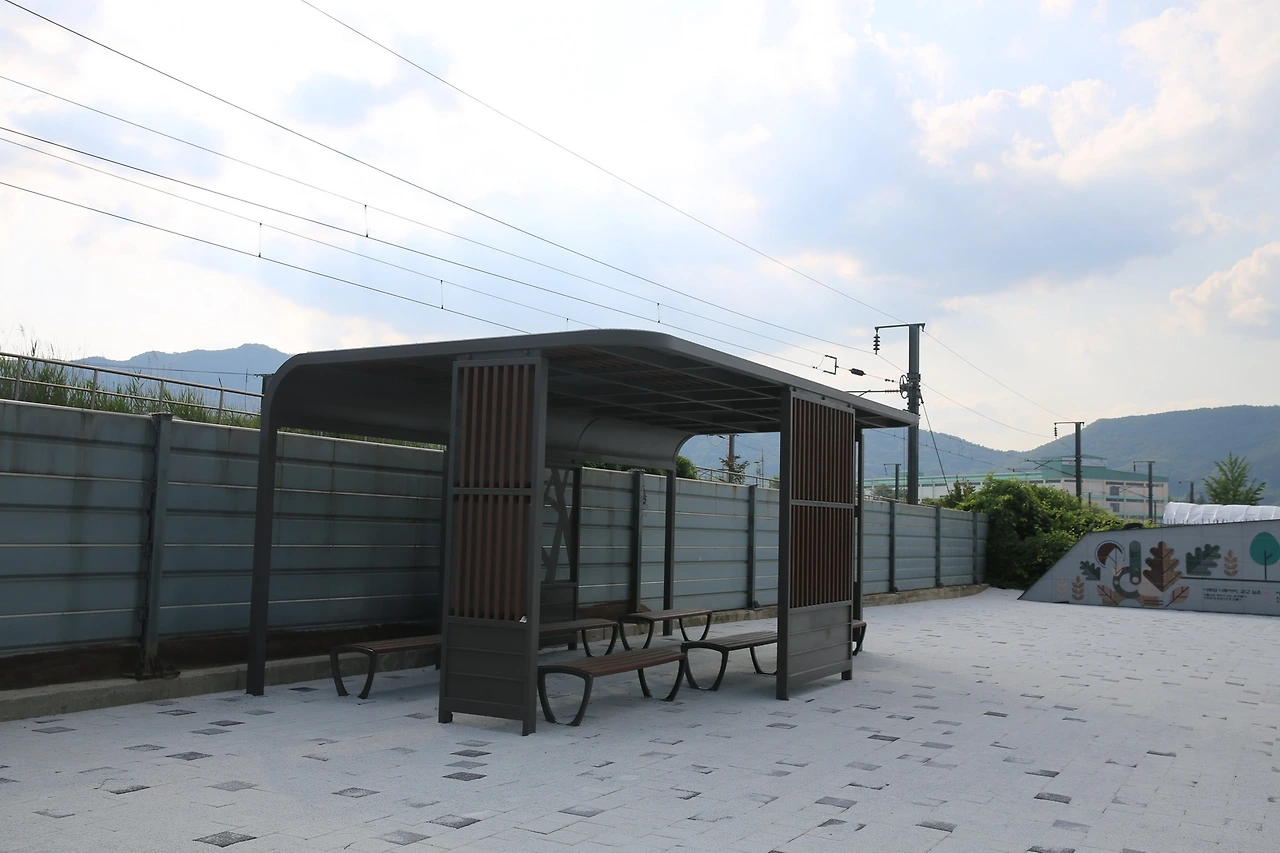 MG0A1613_новый размер.JPG