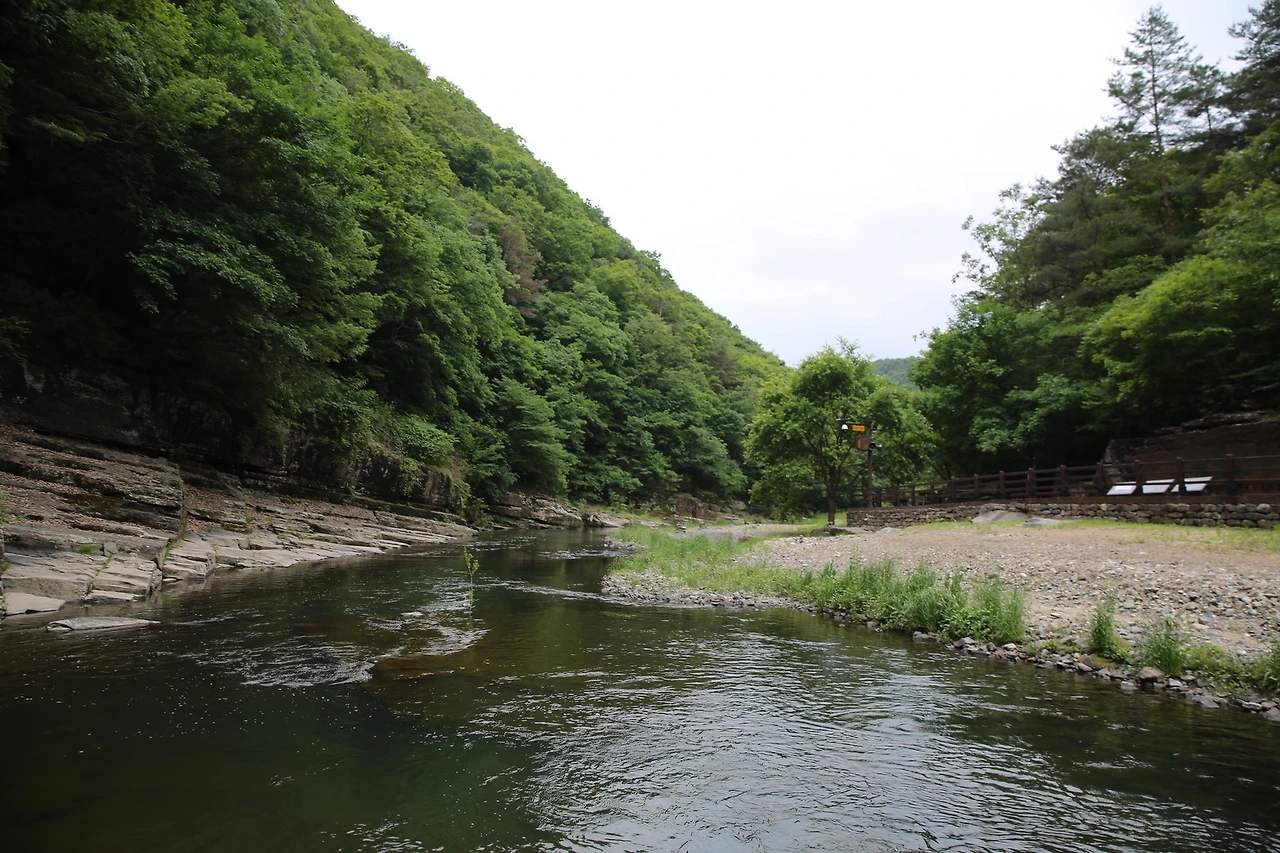 MG0A5517_новый размер.JPG