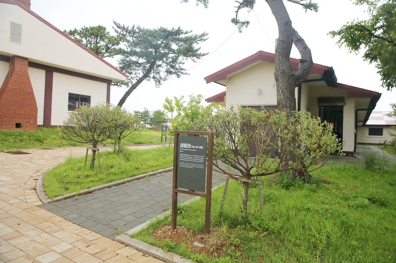 MG0A3354_новый размер_exposure.JPG