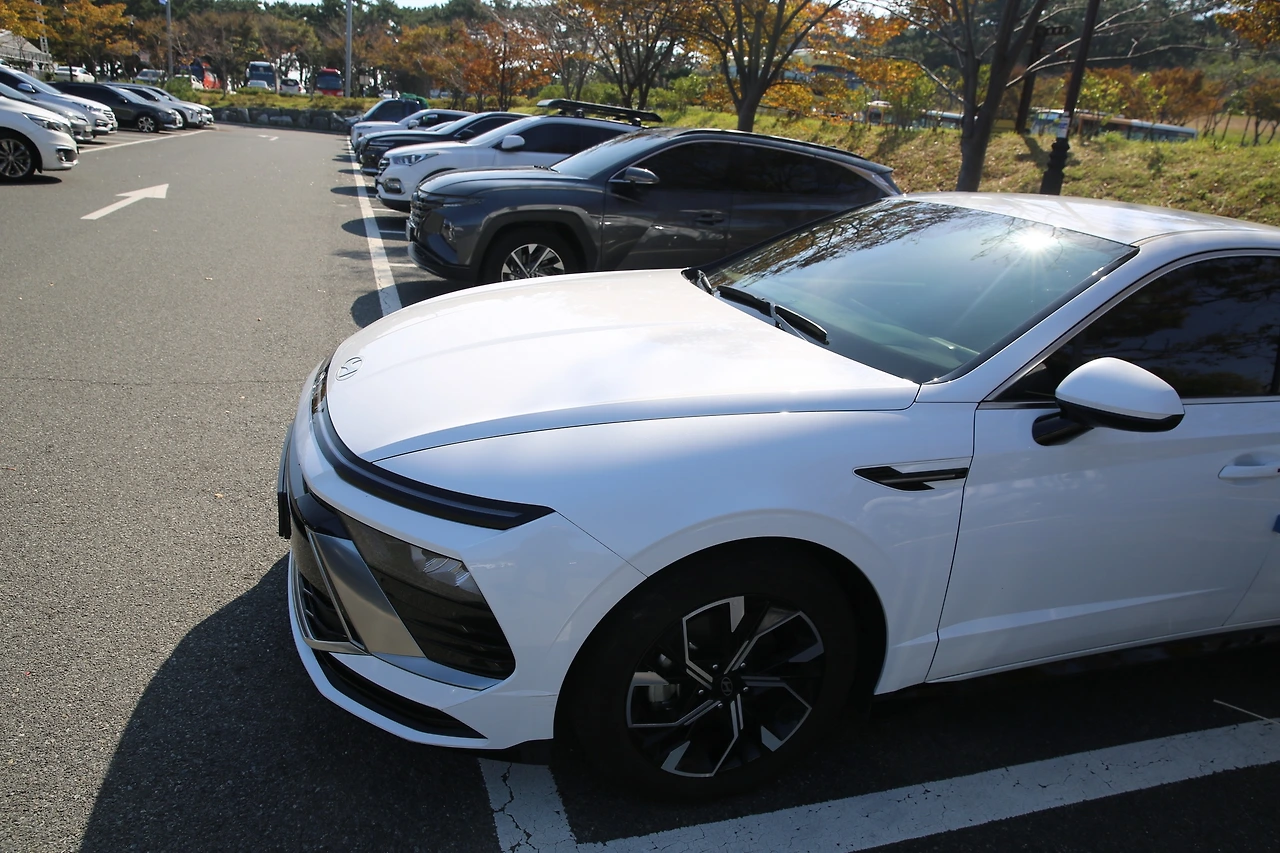 MG0A8159_новый размер.JPG