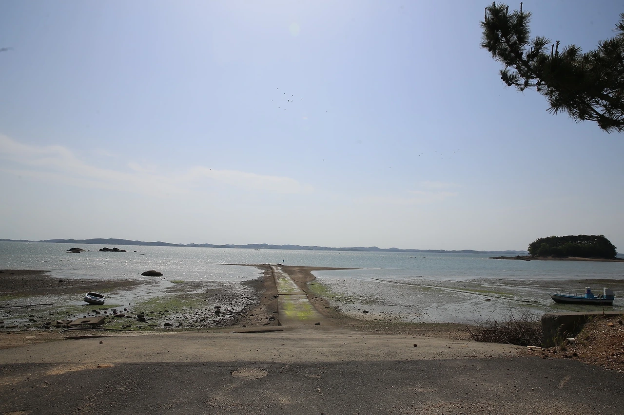 MG0A3911_новый размер.JPG