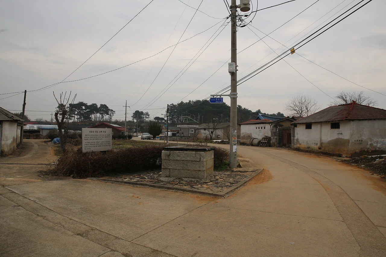 MG0A9100_новый размер.JPG