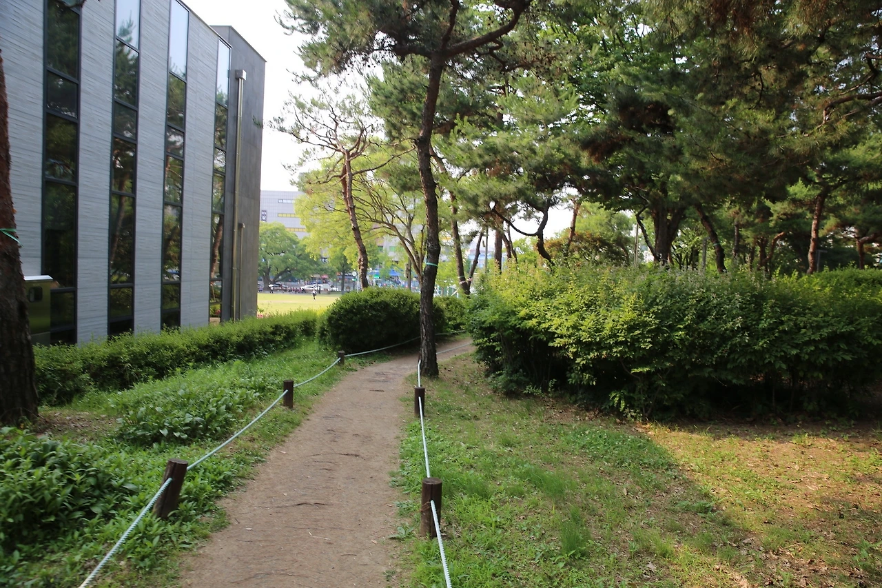 MG0A7521_новый размер.JPG