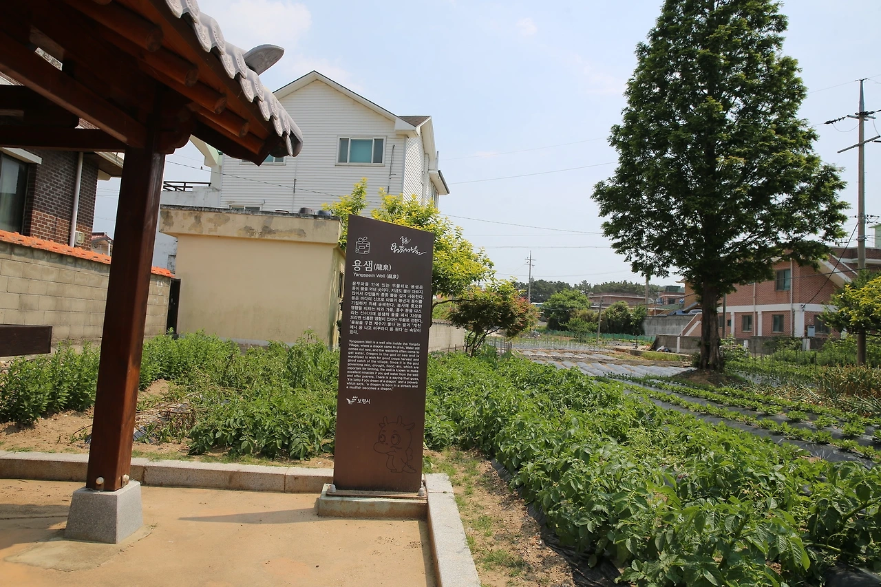 MG0A6311_новый размер.JPG