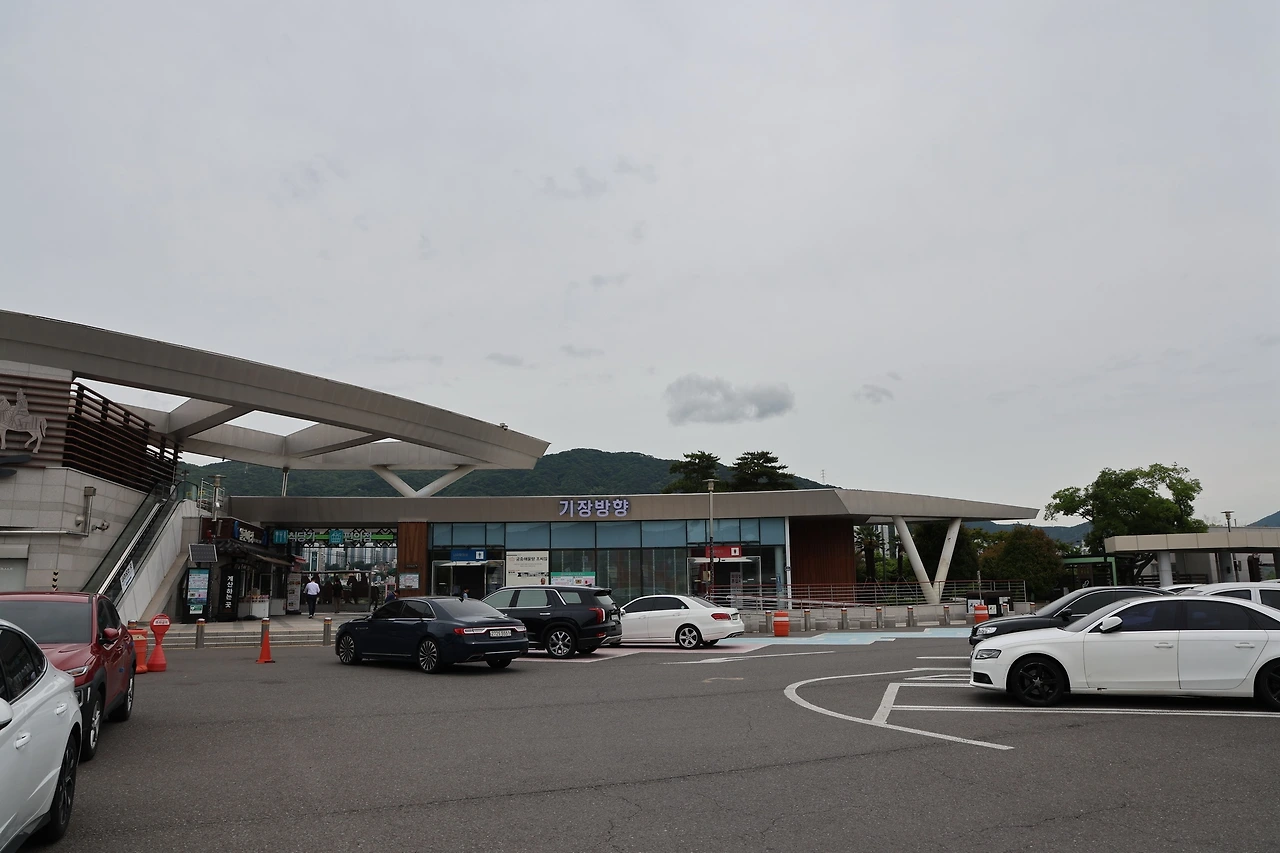 0R5A1735_новый размер.JPG