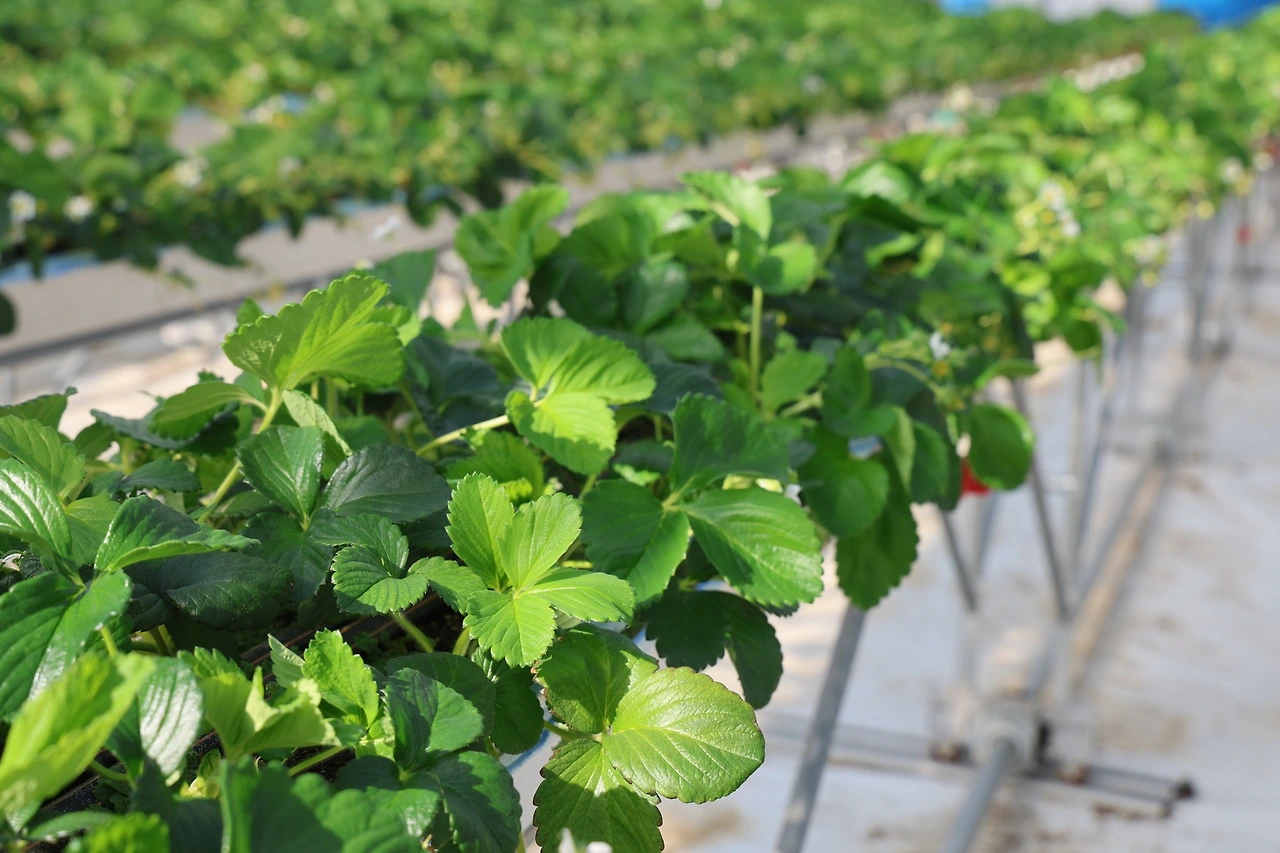 0R5A2688_новый размер.JPG