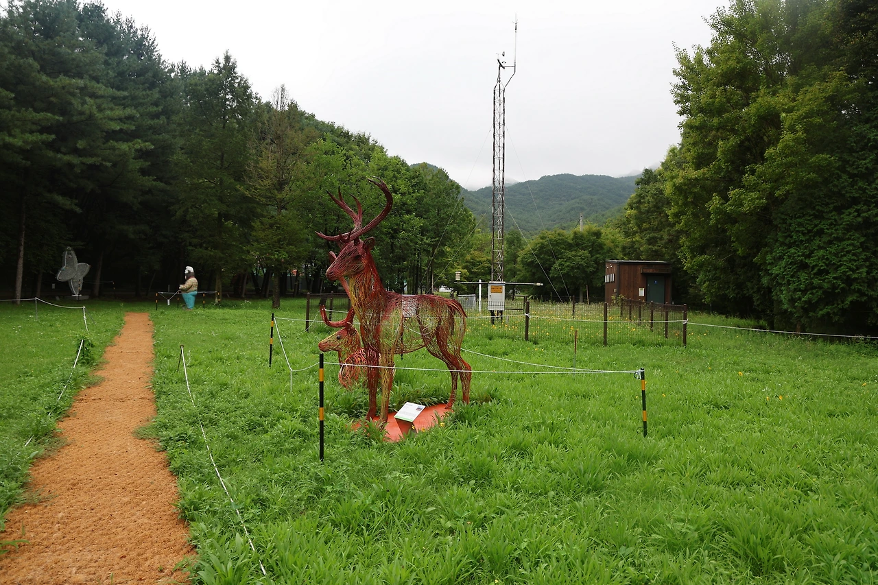 0R5A3881_новый размер.JPG