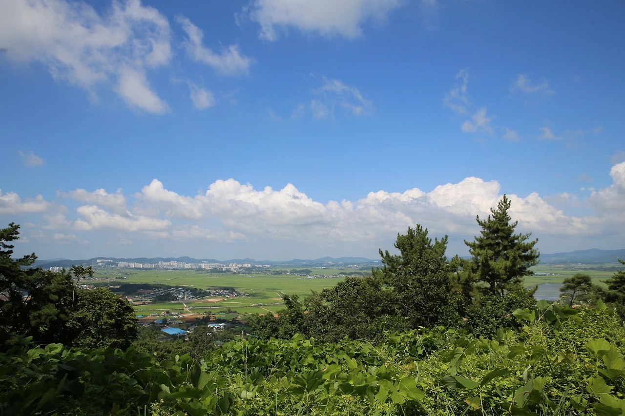 MG0A9239_новый размер.JPG