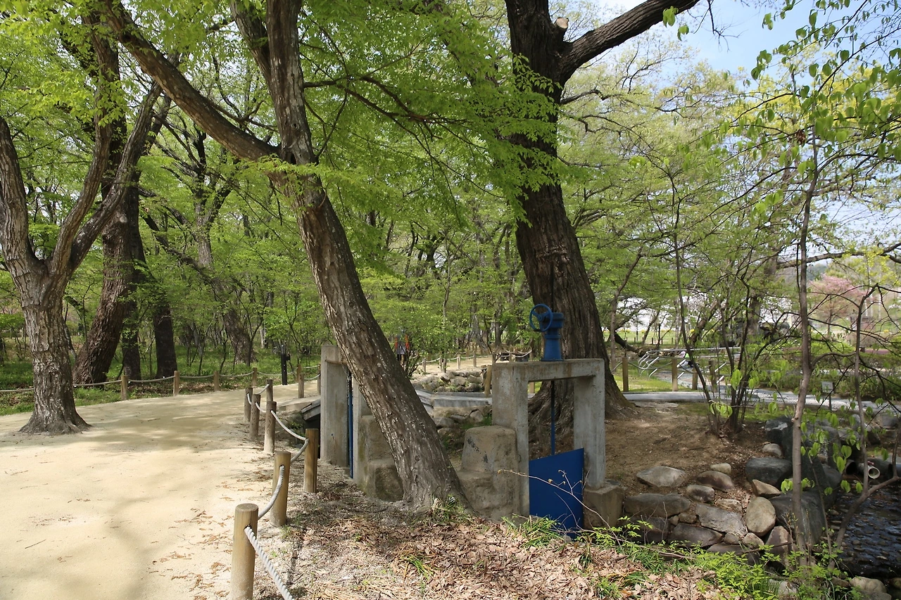 MG0A9178_новый размер.JPG