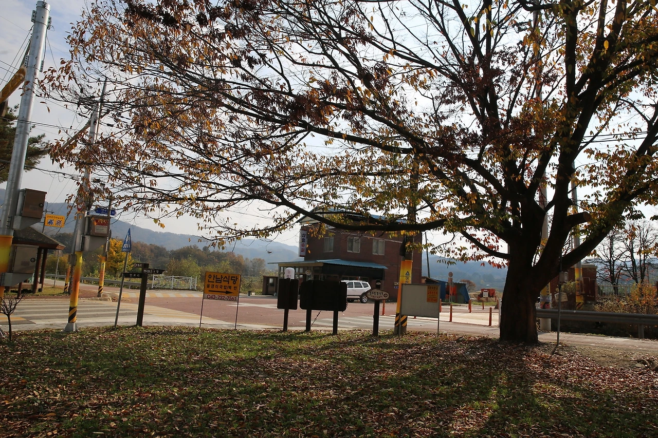 MG0A9877_новый размер.JPG