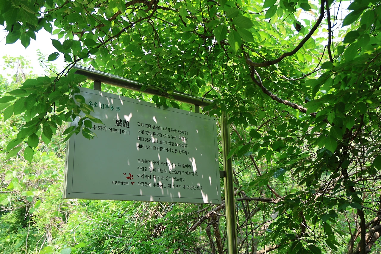 0R5A3218_новый размер.JPG