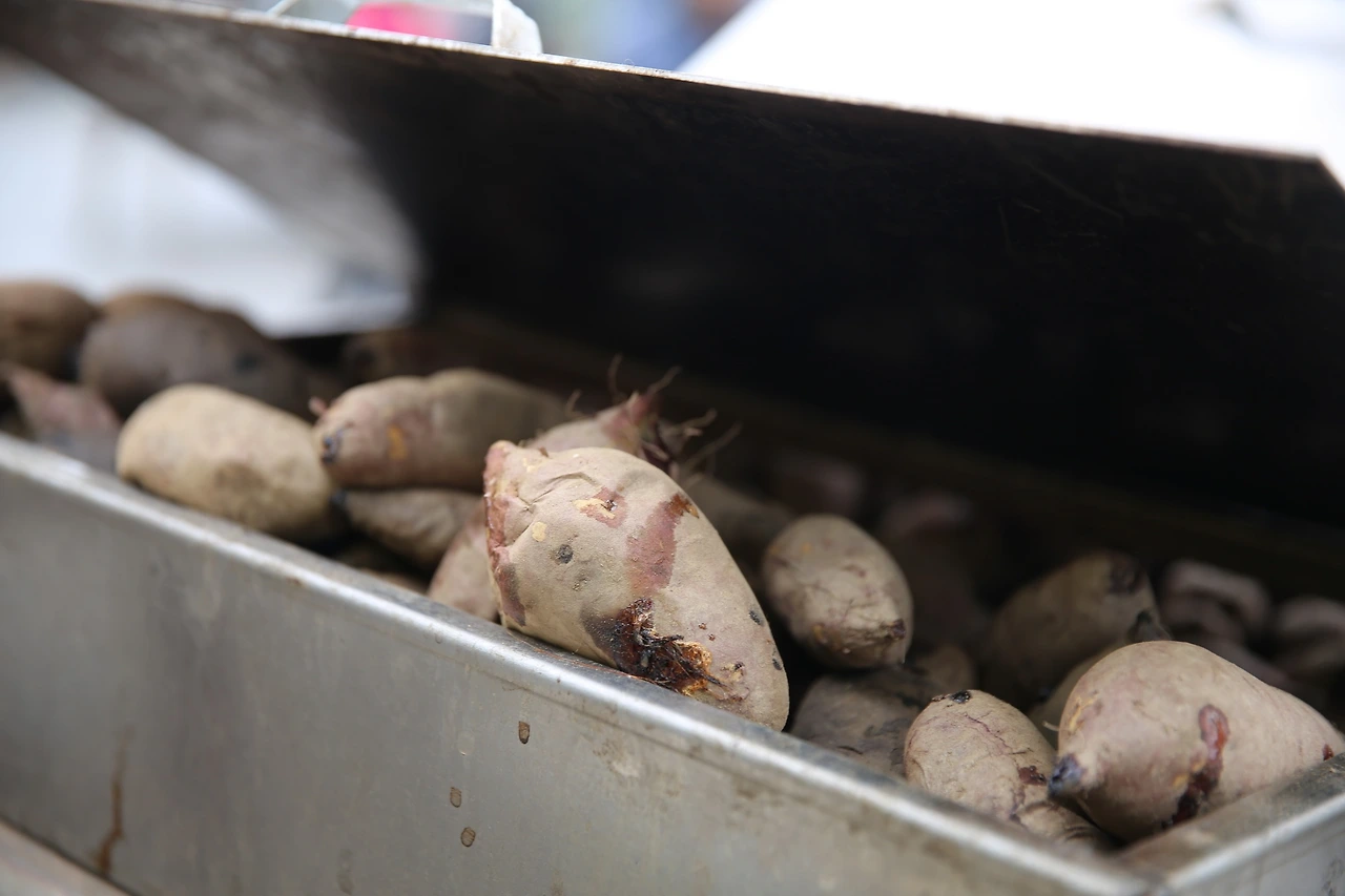 MG0A5809_новый размер.JPG