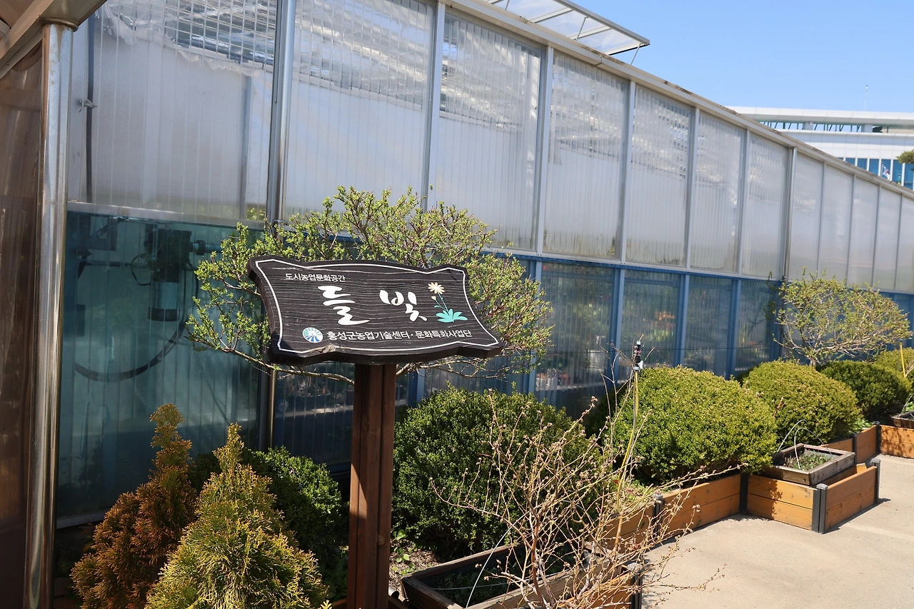 0R5A5874_новый размер.JPG