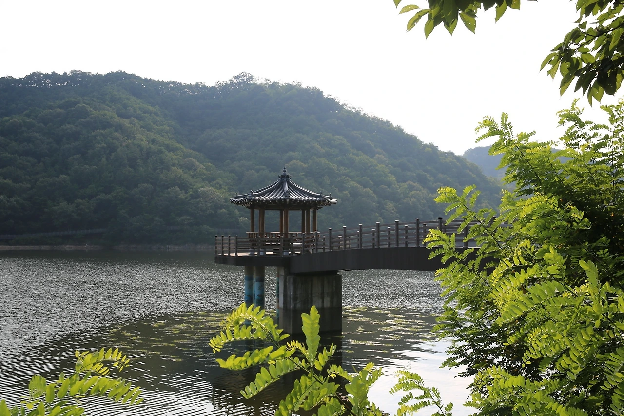 MG0A7451_новый размер.JPG