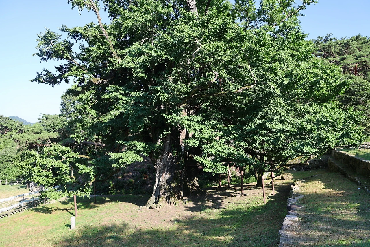 0R5A8077_новый размер.JPG