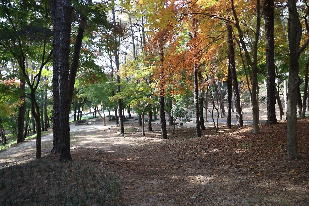 0R5A2388_новый размер.JPG