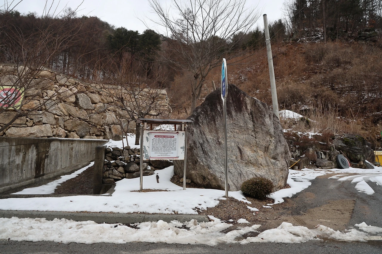 0R5A1715_новый размер.JPG