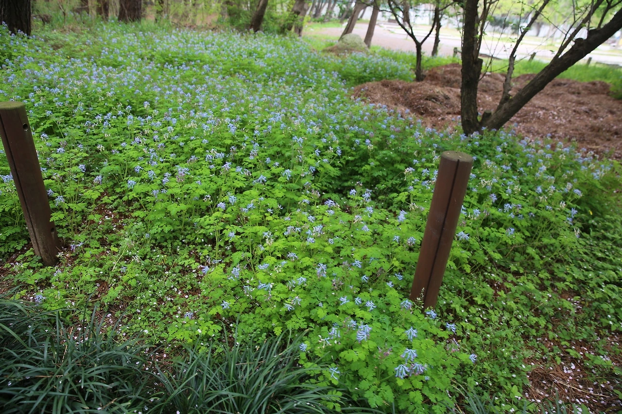 MG0A0543_новый размер.JPG