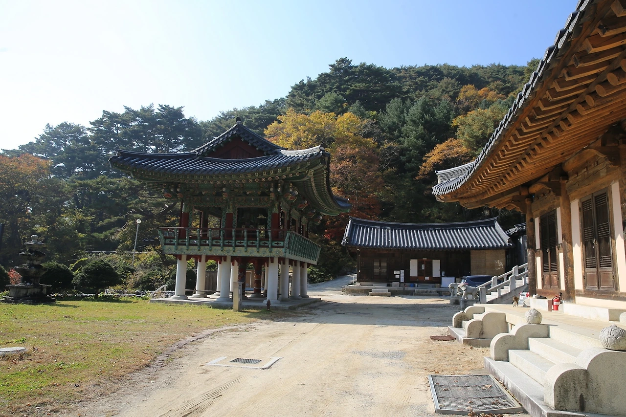 MG0A8229_новый размер.JPG