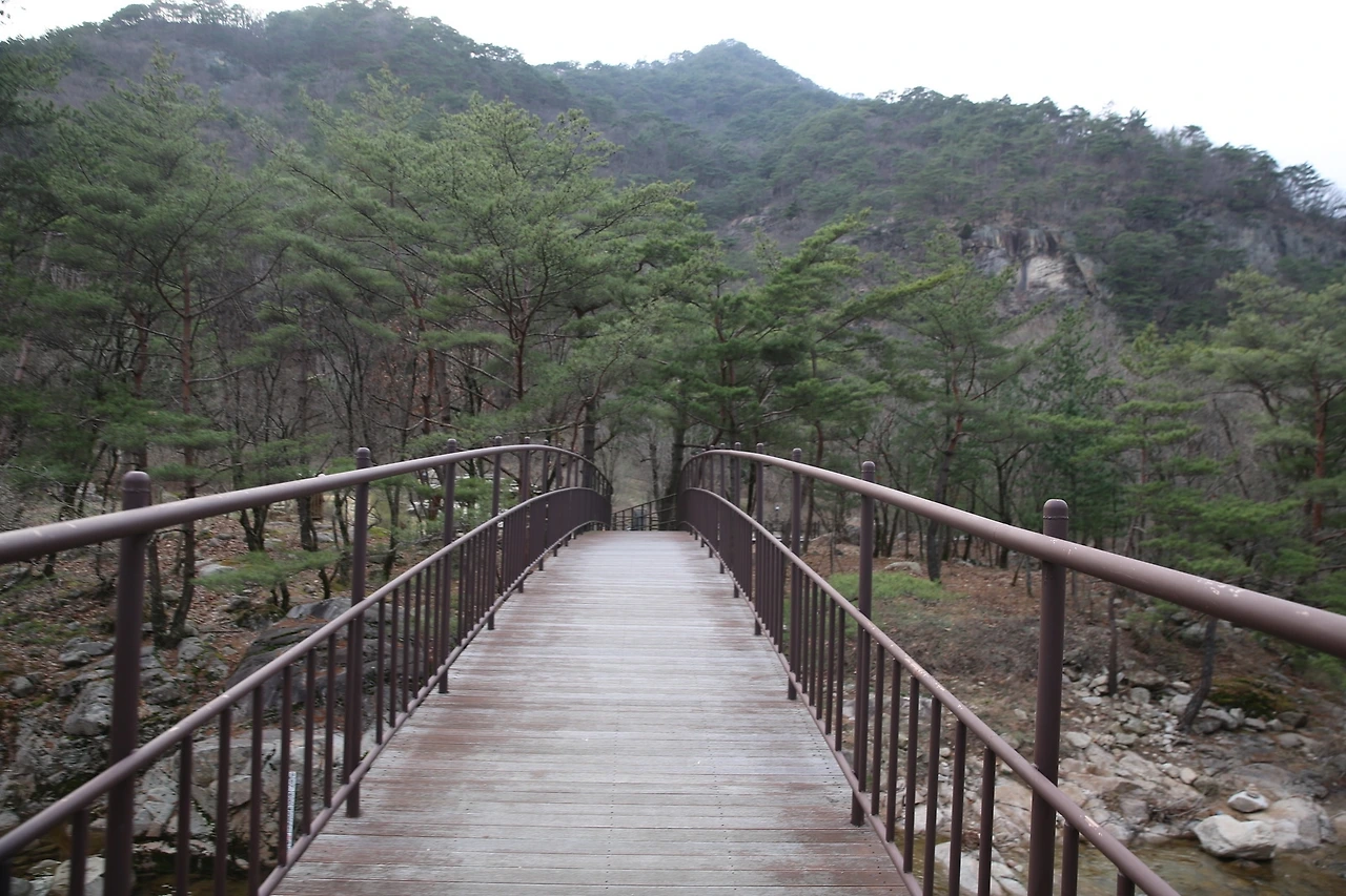 MG0A8368_новый размер.JPG