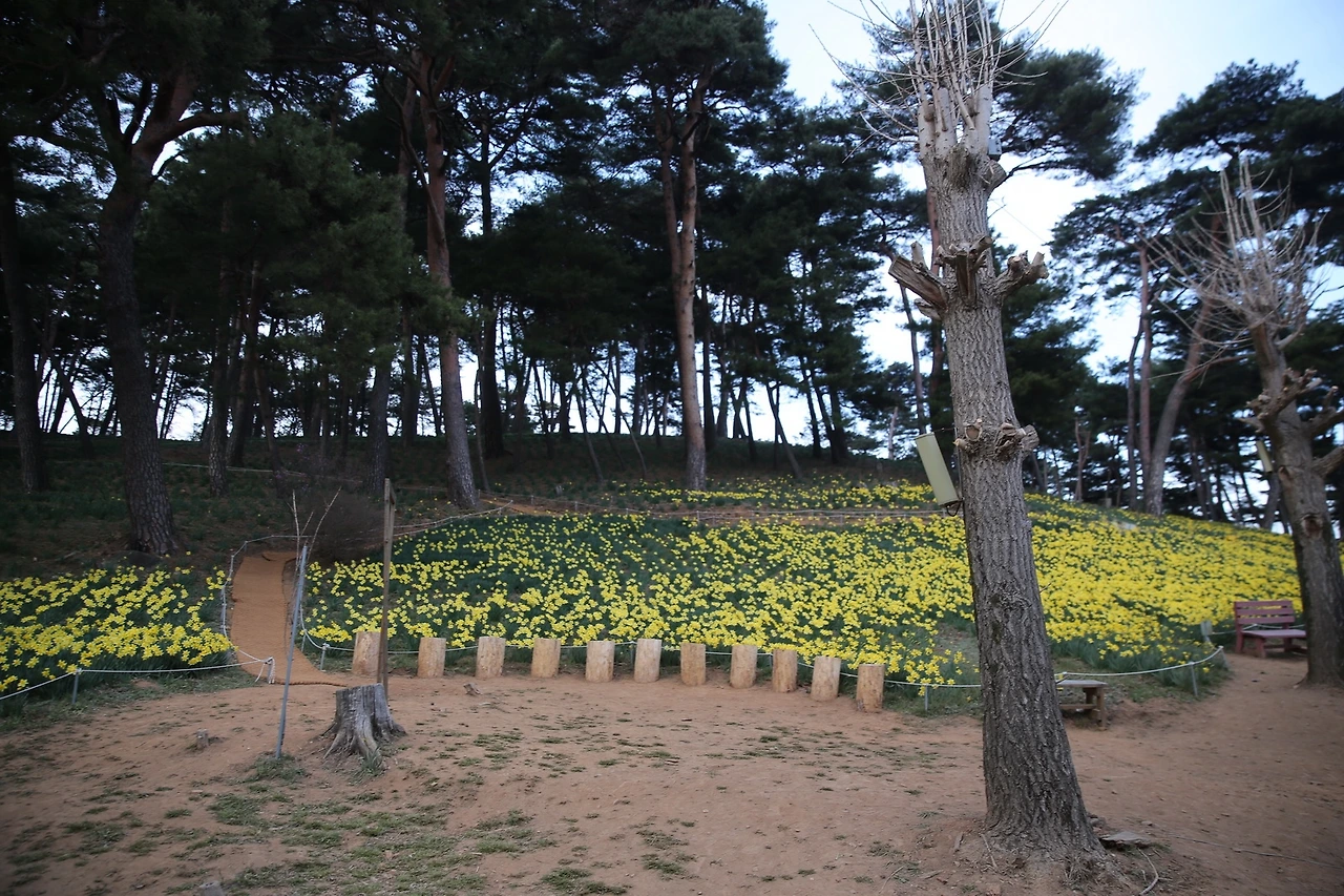 MG0A6037_новый размер.JPG