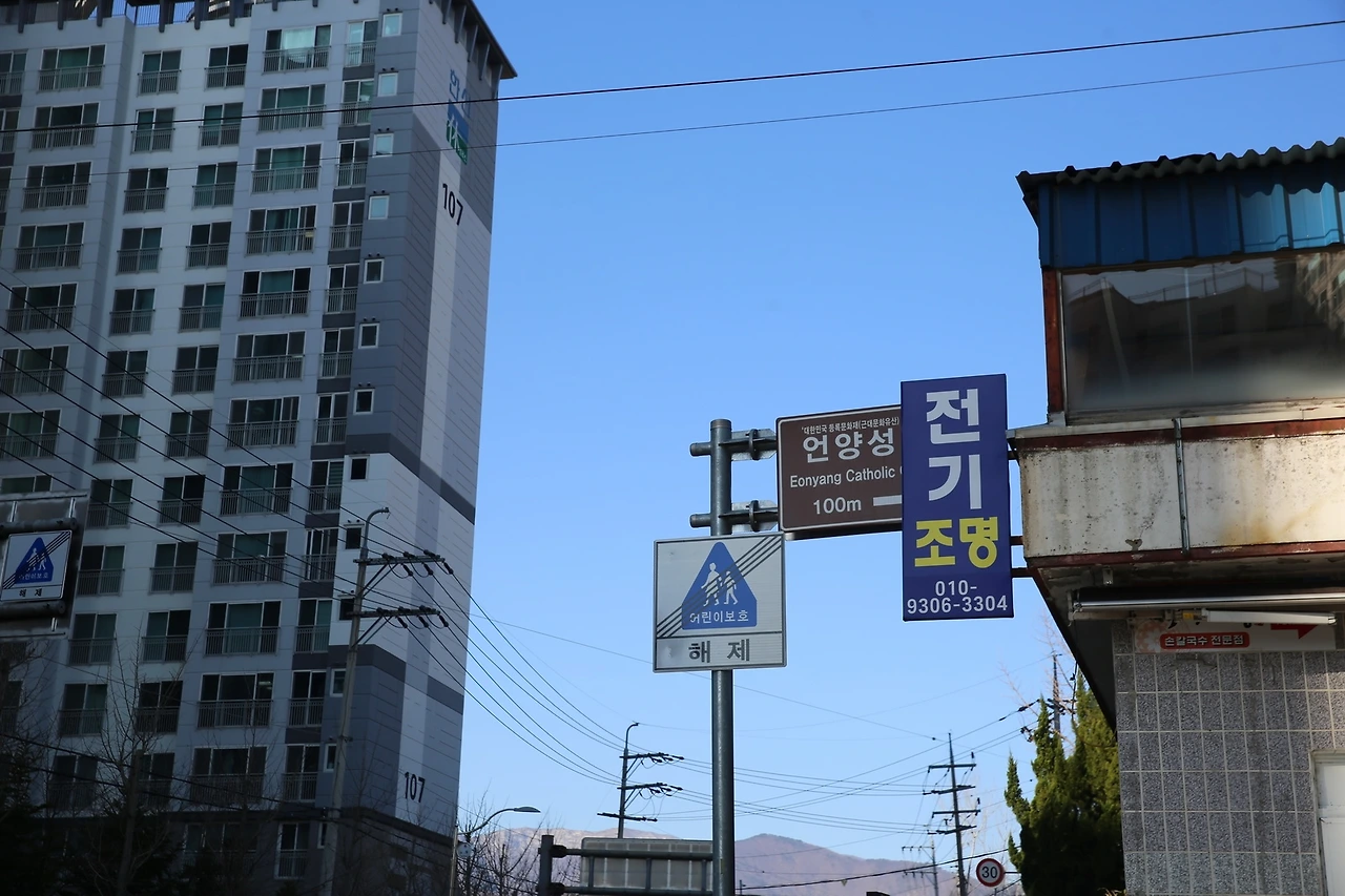 MG0A7832_новый размер.JPG