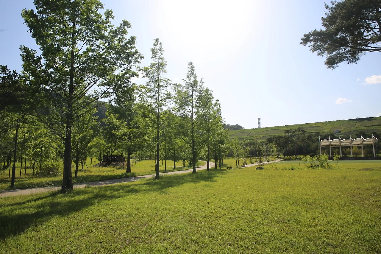 MG0A9496_новый размер.JPG