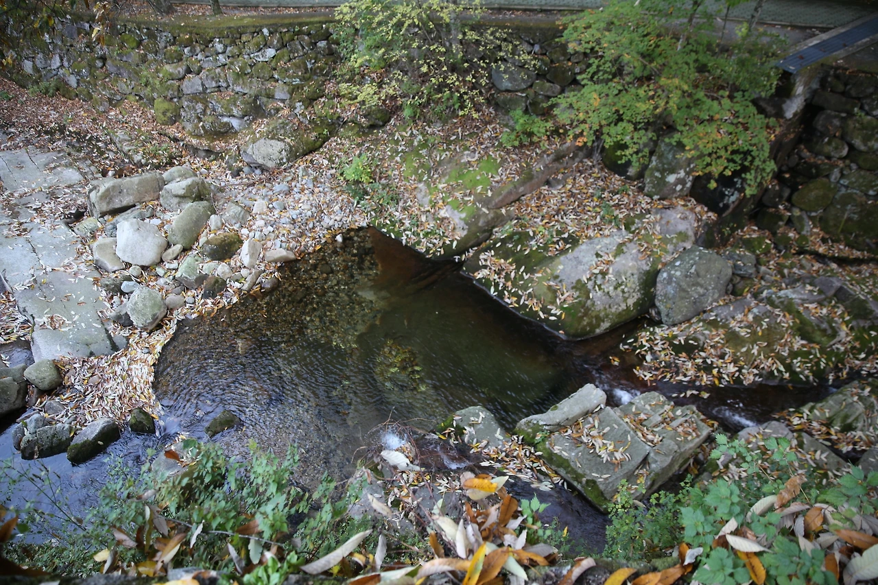 MG0A8361_новый размер.JPG