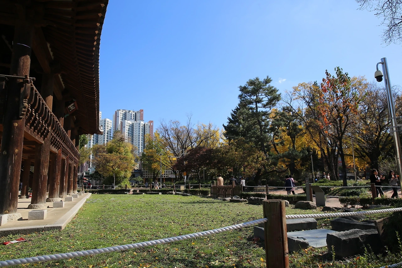 MG0A0051_новый размер.JPG