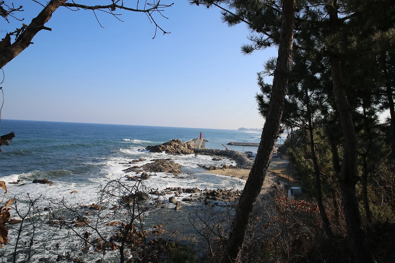 MG0A6539_новый размер.JPG