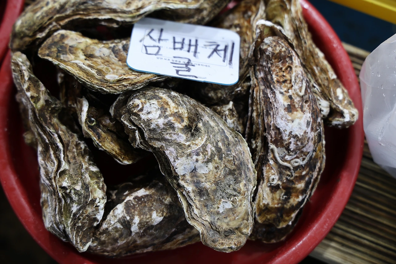 0R5A4307_новый размер.JPG