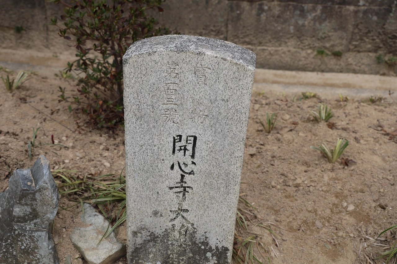 0R5A2837_новый размер.JPG