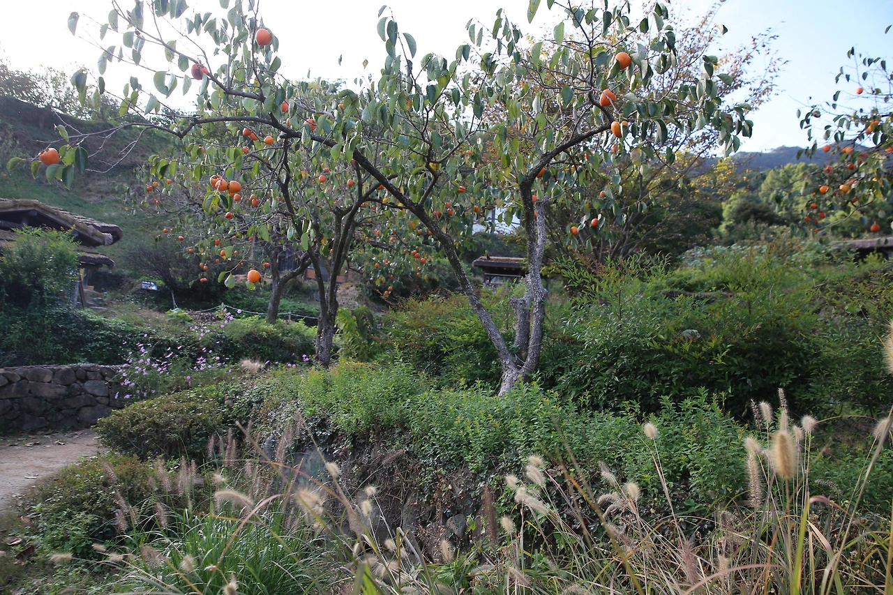 MG0A7977_новый размер.JPG