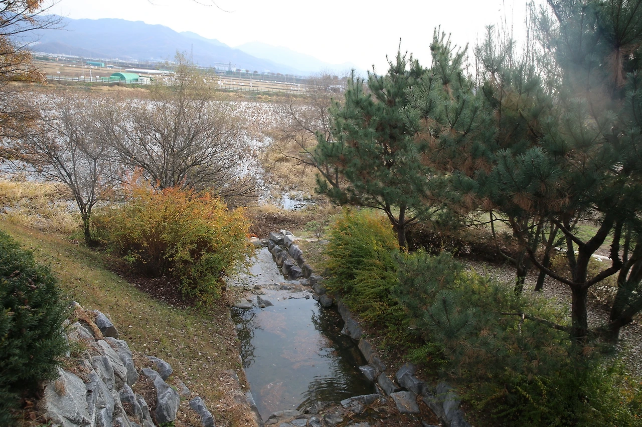 MG0A1782_новый размер.JPG