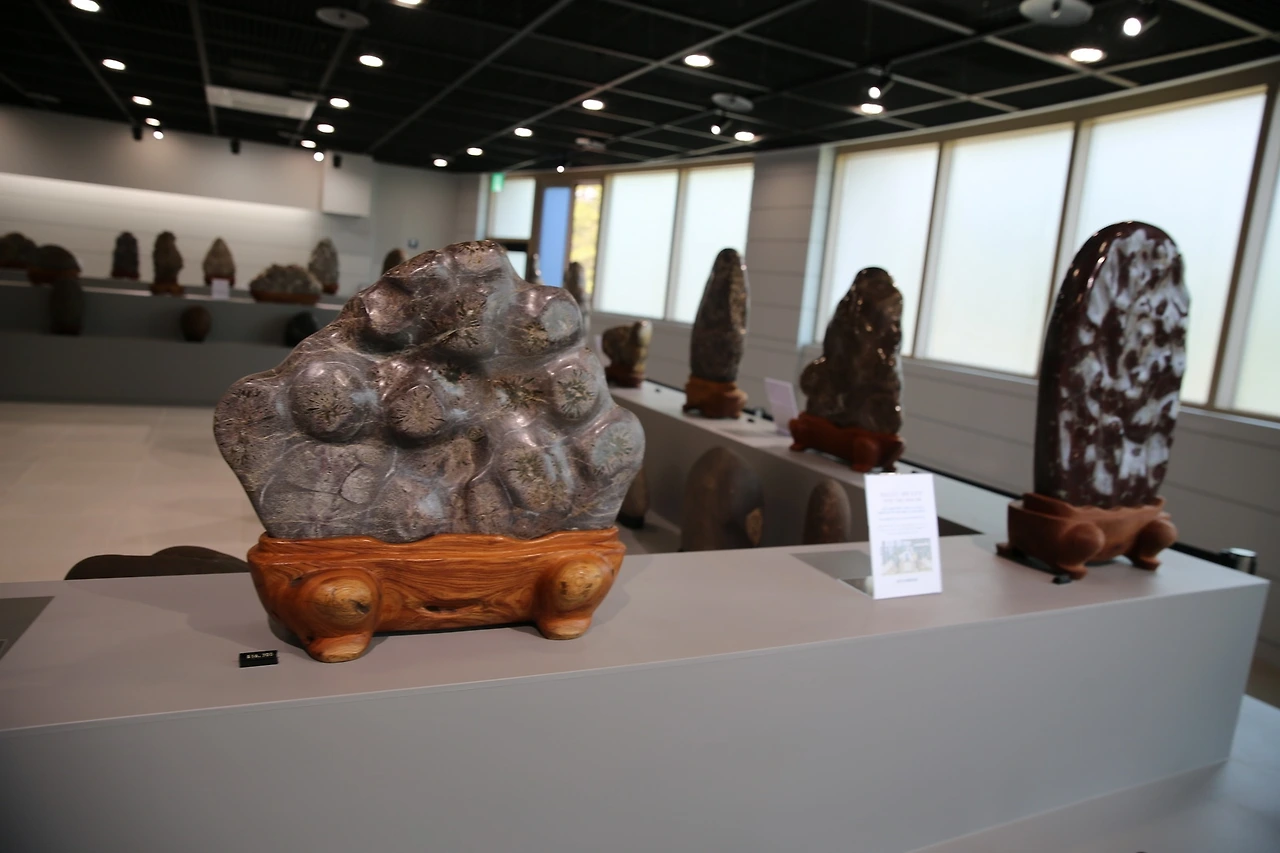 MG0A4373_новый размер.JPG