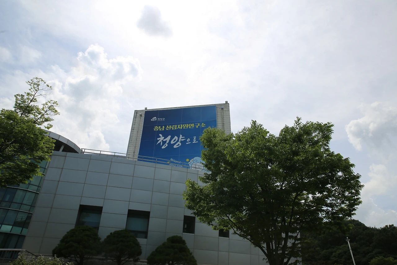 MG0A4126_новый размер.JPG