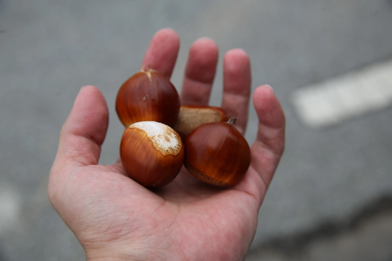 MG0A2588_новый размер.JPG