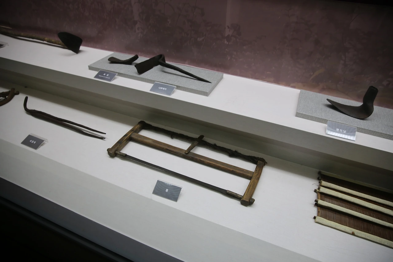 MG0A0716_новый размер.JPG